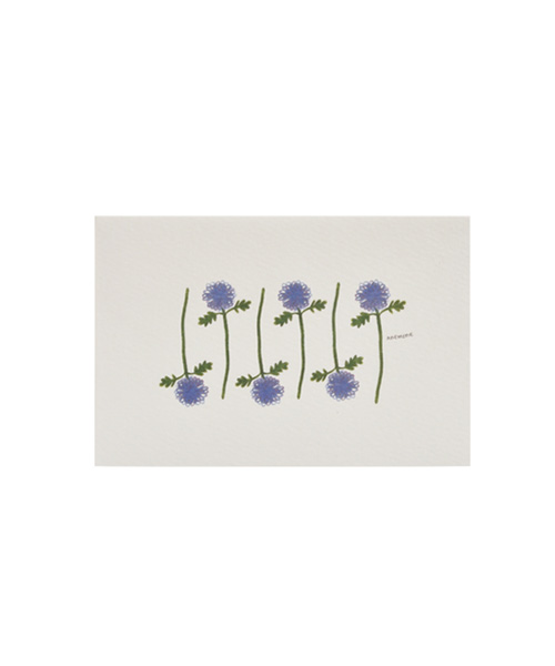 Flower Card - Anemone