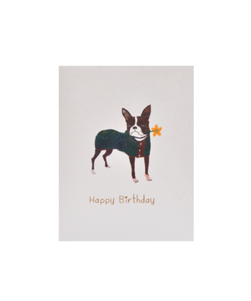M Card - Dog Birthday